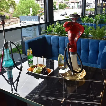Anatolia Hotel 4*
